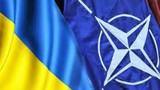 Cựu Tư lệnh NATO: NATO không cần Ukraine