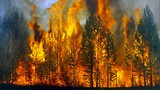 Hình ảnh cháy rừng khủng khiếp ở đông Siberia