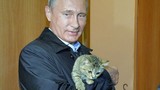 TT Putin thừa nhận Nga hỗ trợ Quân đội Syria