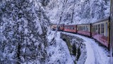 Lạc vào thế giới cổ tích trên những chuyến tàu chạy dưới mưa tuyết
