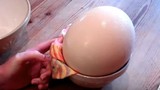 Quả trứng đà điểu lớn nhất thế giới, cả nhà ăn không hết