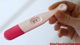 Video: Que thử thai hoạt động thế nào?
