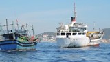 Tàu cá Quảng Nam bị đâm ở vùng biển Hoàng Sa