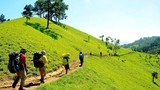 Băng rừng trên cung đường trek đẹp nhất Việt Nam