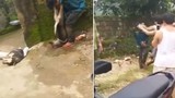 Video: “Cẩu tặc” bị đánh hội đồng, treo xác chó lên cổ