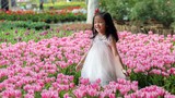 Người dân đổ xô đi ngắm cánh đồng hoa tulip Hà Lan tại Hà Nội