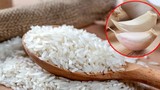 Vùi vài nhánh tỏi vào thùng gạo: Nhận lợi ích bất ngờ 