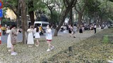 Du khách nước ngoài thích thú với phố Phan Đình Phùng mùa lá rụng