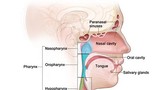 Phát hiện thuốc mới giúp điều trị ung thư đầu và cổ