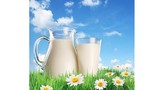Tại sao sữa tươi tiệt trùng giá “chát” hơn sữa tiệt trùng?