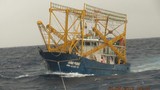 Lai dắt tàu cá hỏng máy cùng ngư dân về đảo Lý Sơn an toàn