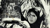 Những bộ phim làm nên thương hiệu của Hãng phim truyện Việt Nam