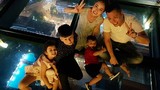 Hot Face sao Việt 24h: Con trai Jennifer Phạm - Quang Dũng về nước nghỉ hè