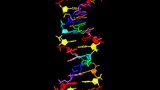 Truy tìm sự sống ngoài hành tinh từ DNA "8 chữ cái"
