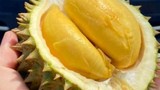 Sầu tí hon Thái Lan đổ bộ chợ Việt, vựa trái cây bán ngày nửa tấn