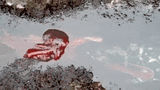 Video: Phát hiện bạch tuộc Thái Bình Dương bơi trong hồ thủy triều