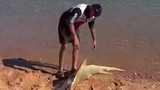 Video: Gặp cá hiếm mắc cạn, người đàn ông bất ngờ làm việc này