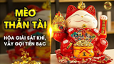 Mèo Thần Tài có quy tắc tay trái - tay phải: Đặt sai mất lộc