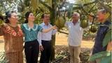 Nông dân ở Phú Yên thu nhập khủng nhờ trồng sầu riêng 