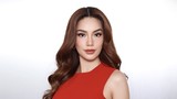 Lý do tạm dừng phiên tòa xét xử liên quan Lê Hoàng Phương