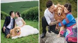 Cặp đôi 8X chụp ảnh cưới với “chó sư tử“