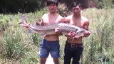 Bắt được cá tầm khủng hiếm có tại Việt Nam