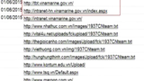 Tin tặc tấn công những website nào ở Việt Nam?