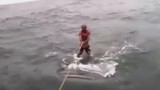 Dị nhân liều mạng lướt sóng trên lưng cá mập khổng lồ