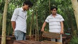 Dân đập phá trại ong ở Quảng Ngãi vì sợ mất mùa
