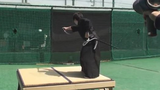 Võ sĩ Samurai chém đôi quả bóng ở vận tốc 160km/h