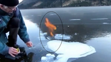 Bất ngờ với hiện tượng lửa cháy trên mặt hồ đóng băng