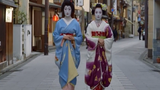 Hé lộ bí mật cuộc sống của các Geisha tập sự