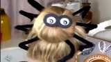 Kiểu tết tóc con nhện cực dị cho đêm Halloween