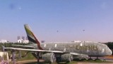 Dùng 5 triệu bông hoa tạo hình máy bay Airbus A380