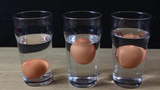 Điều gì xảy ra khi thả trứng vào nước muối?