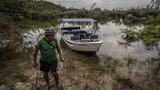 Bãi tắm kì lạ đầy muỗi và kiến giữa rừng rậm Amazon 