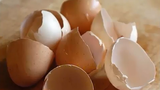 6 bài thuốc hay từ vỏ trứng bạn nên biết