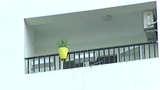 Video: Hiểm họa “vật thể bay” tại chung cư