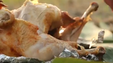 Video: Không ngờ làm món gà úp nồi thơm ngon lại dễ đến thế