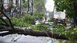 Người dân Quảng Ngãi thu dọn những đổ nát sau khi bão số 9 đi qua