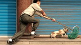 Truyền hình Anh làm phóng sự nạn trộm chó ở Việt Nam