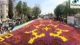 Chiêm ngưỡng tấm thảm hoa Tulip lớn nhất thế giới