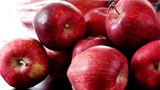 Mẹo chọn mua táo ngon ngọt không sợ hóa chất độc hại