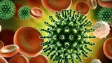 5 loại virus gây bệnh mới nổi liên quan đến biến đổi khí hậu