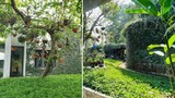 Ngôi nhà ngập tràn không gian xanh như rừng nhiệt đới ở Nghệ An