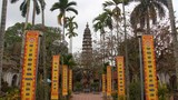 Chiêm ngưỡng bốn cây cổ thụ hàng trăm tuổi ở chùa Phổ Minh