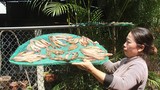  Cá khô một nắng - đặc sản hồ Trị An hút khách mùa du lịch
