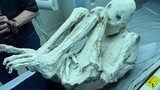 2 xác ướp "người ngoài hành tinh" từ Peru đang gây tranh cãi