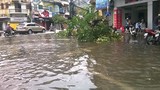Cảnh tan hoang ở Hải Phòng, Quảng Ninh sau cơn bão số 3