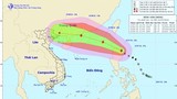 Khẩn trương ứng phó siêu bão Nida sức gió giật cấp 16-17